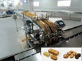 Biscuits Automatic Feeding Machine 1