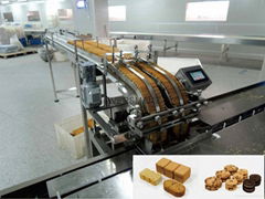 Biscuits Automatic Feeding Machine