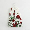 Autumn girl rose print dress 2