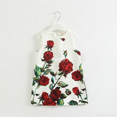 Autumn girl rose print dress