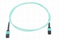 MPO / MTP Connector Interface Patchcord 1
