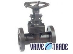  Forged steel flanged gate valve