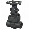 Forged Steel Gate Valve