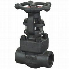  Forged Steel Gate Valve