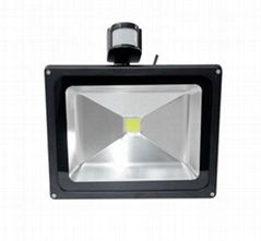 waterproof led floodlight50w