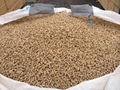 Premium Wood Pellets Din + 4