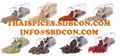 Thai spices exporter in Dried Ground or Powder Form  1