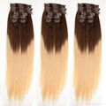 Beauty Hair Fashion Hot Selling Quad Weft Clip In Hair Extension Brown Color sil 3