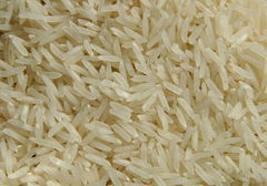 IR-64 Rice