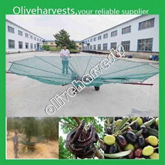 olive harvester