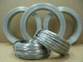 China made Galvanized Iron Wire 3