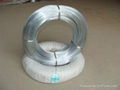 China made Galvanized Iron Wire 4