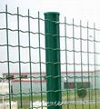 Useful High Quality Factory Price Holland Wire Mesh 1