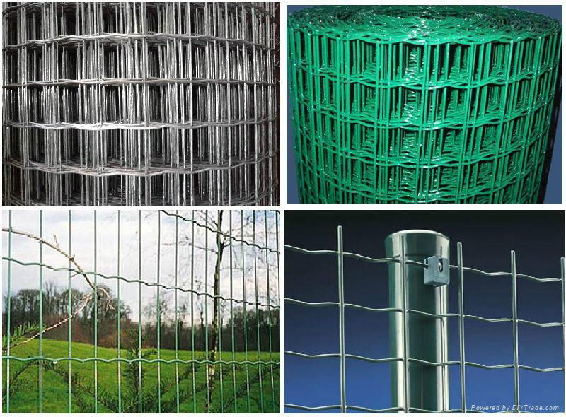 Useful High Quality Factory Price Holland Wire Mesh 2