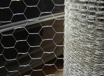 Environmental Hexagonal Wire Mesh/Gabion