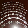 High intensity Protective Razor Barbed Wire 2