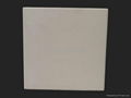 ceramic acid proof tile 2