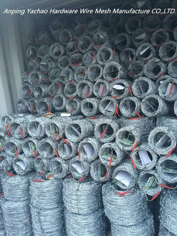 High quality Security fencing razor barbed wire 5
