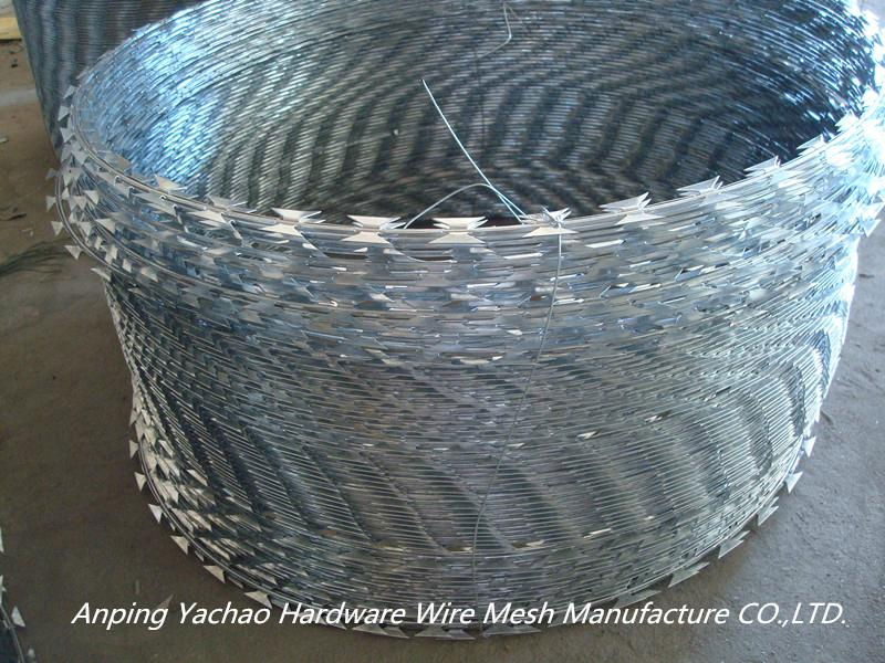 High quality Hot Dipped Galvanized Razor Barbed Wire