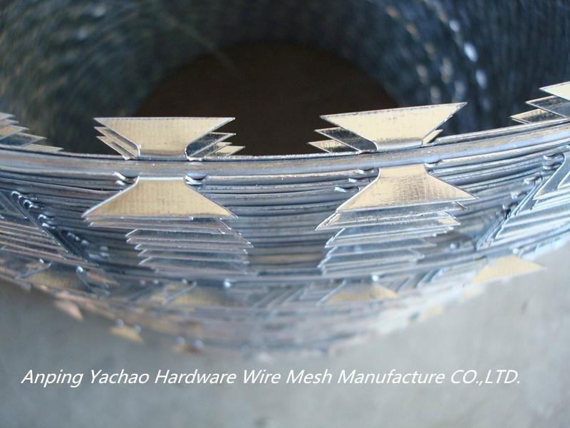 High quality Hot Dipped Galvanized Razor Barbed Wire 3