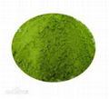 POWDERED DECAFFEINATED GREEN TEA EXTRACT 1