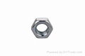 DIN934 Class8 Hex Nuts 4