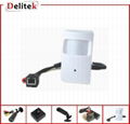 1.3MP Mini Hidden PIR Camera