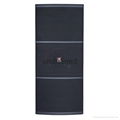 Dual 15'' Pa speaker Pro Audio loudspeaker