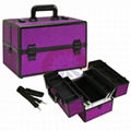 Colorful Professional Makeup Cases Hb-2203 1