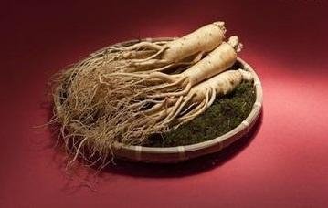  Panax Ginseng Root Extract 2
