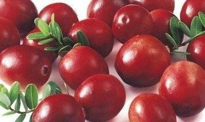 Cranberry Extract 4