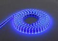 hot-sale DC 12V/24V 5050 led strip lights