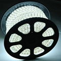 most popular led high voltage strip lights 110/220V 2