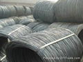 Hot dipped galvanized wire with various specifications 2
