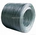 Hot dipped galvanized wire with various specifications 4