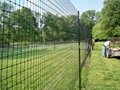 Best Quality and Competitive Price Fence Netting  4