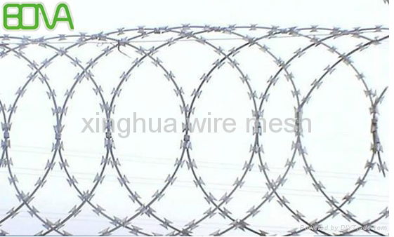 Razor Barbed Wire Mesh as Protecting Fence  5