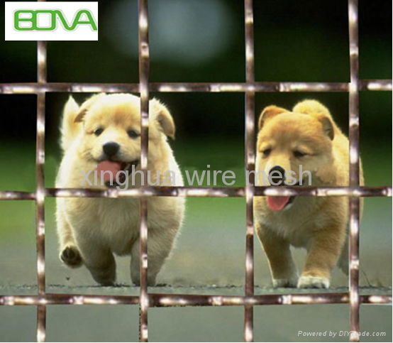 Building material crimped wire mesh  wholesale  3