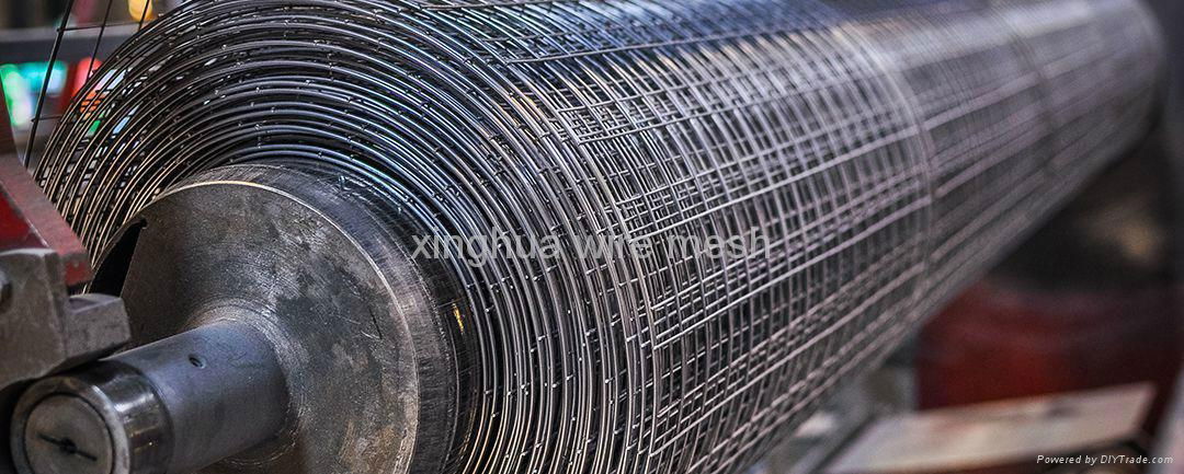 Welded Wire Mesh Manufacturer  3