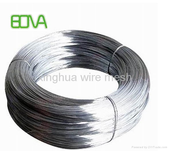 Industrial Supplier Galvanized Wire 