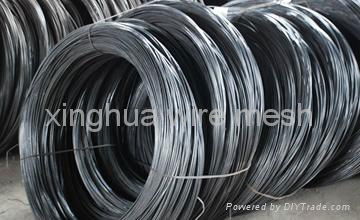 Global high strength black iron wire  2