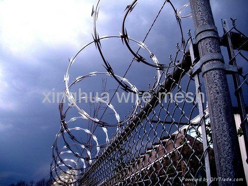 Steel Product Wholesale Razor Barbed Wire  3