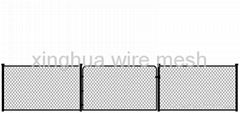 China leading exporter chain link fence 