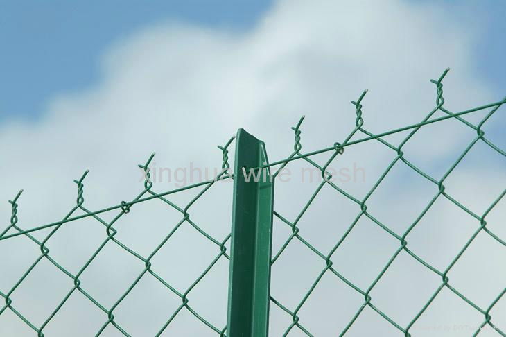 China leading exporter chain link fence  2