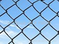 China leading exporter chain link fence  3