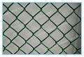 China leading exporter chain link fence  5