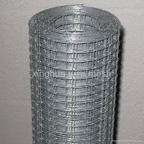 Wire supplier of welded wire mesh 5