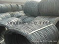 Tension Galvanized Wire  1