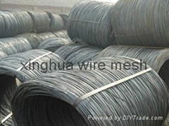 Tension Galvanized Wire