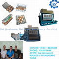 HIGH-QUALITY AUTOMATIC EGG TRAY MACHINE 2